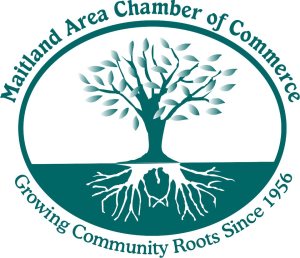 378642_254706541258199_177791622283025_724133_801165119_n